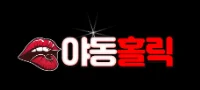 야동홀릭 로고