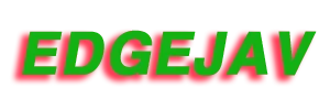 EDGEJAV 로고