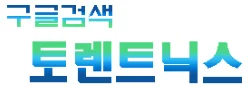 토렌트NX 로고