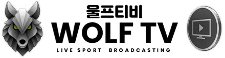 울프티비 로고