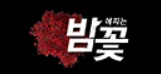밤꽃 로고