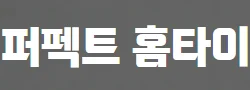 퍼펙트홈타이 로고