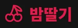 밤딸기 로고