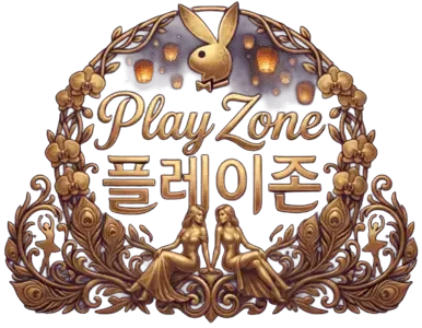 플레이존 로고