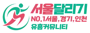 서울달리기 로고